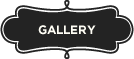 Launch Gallery